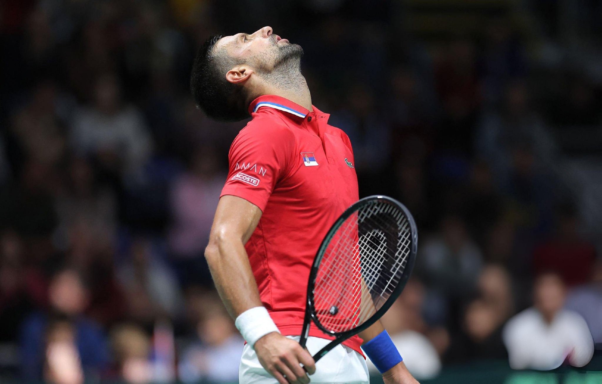 戴维斯杯轻取ATP总决赛，德约科维奇高光表现