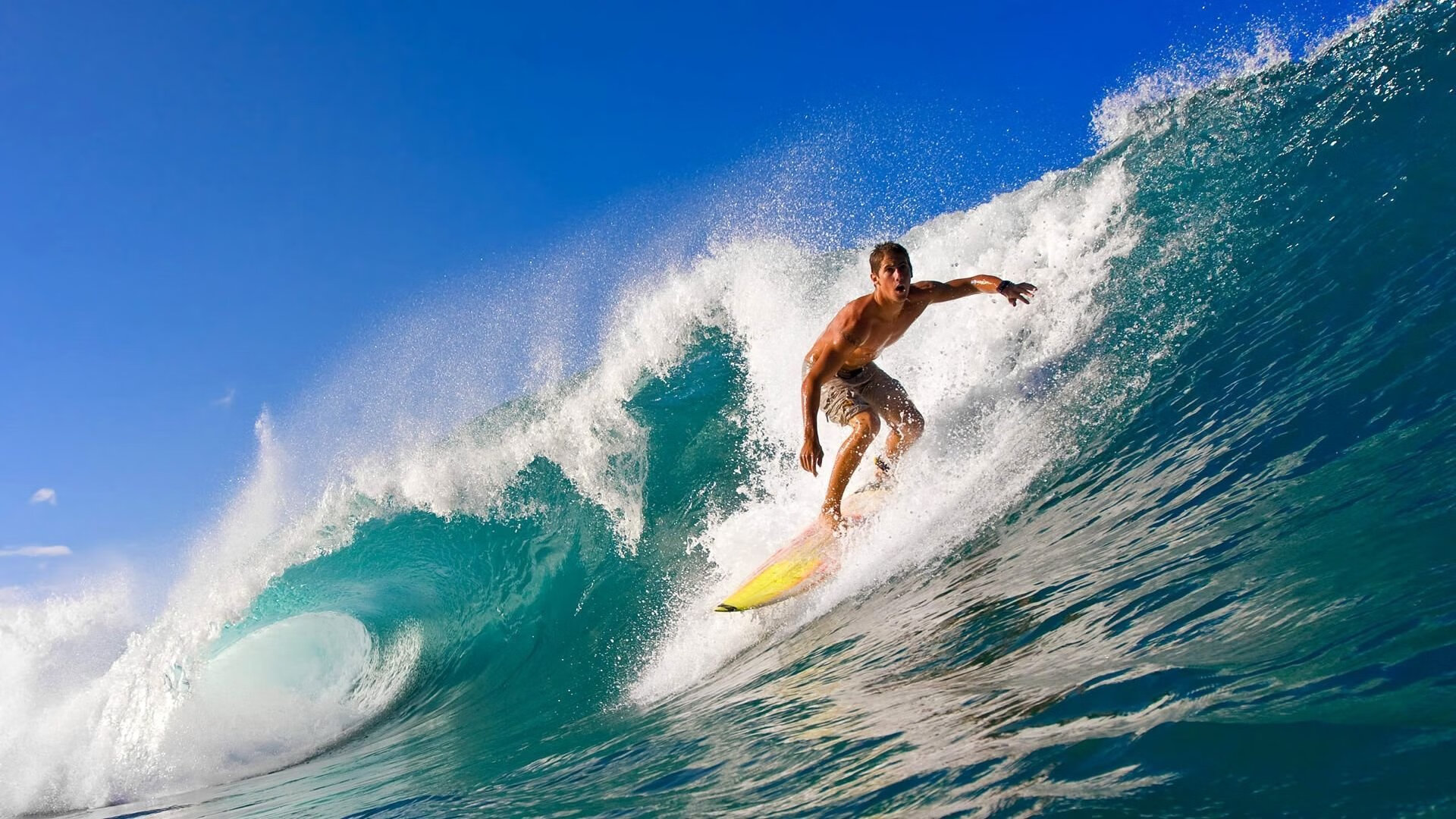 法网鏖战温网,阿尔卡拉斯的高光时刻与网球新生代的崛起